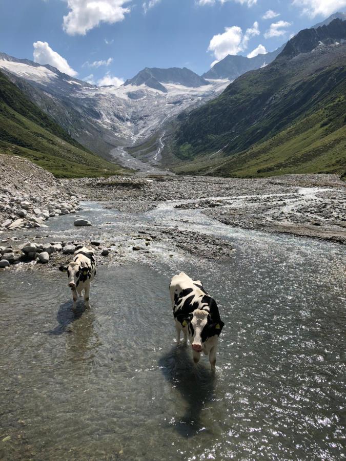 Landhaus Zillertal Рамзау-ім-Ціллерталь Екстер'єр фото