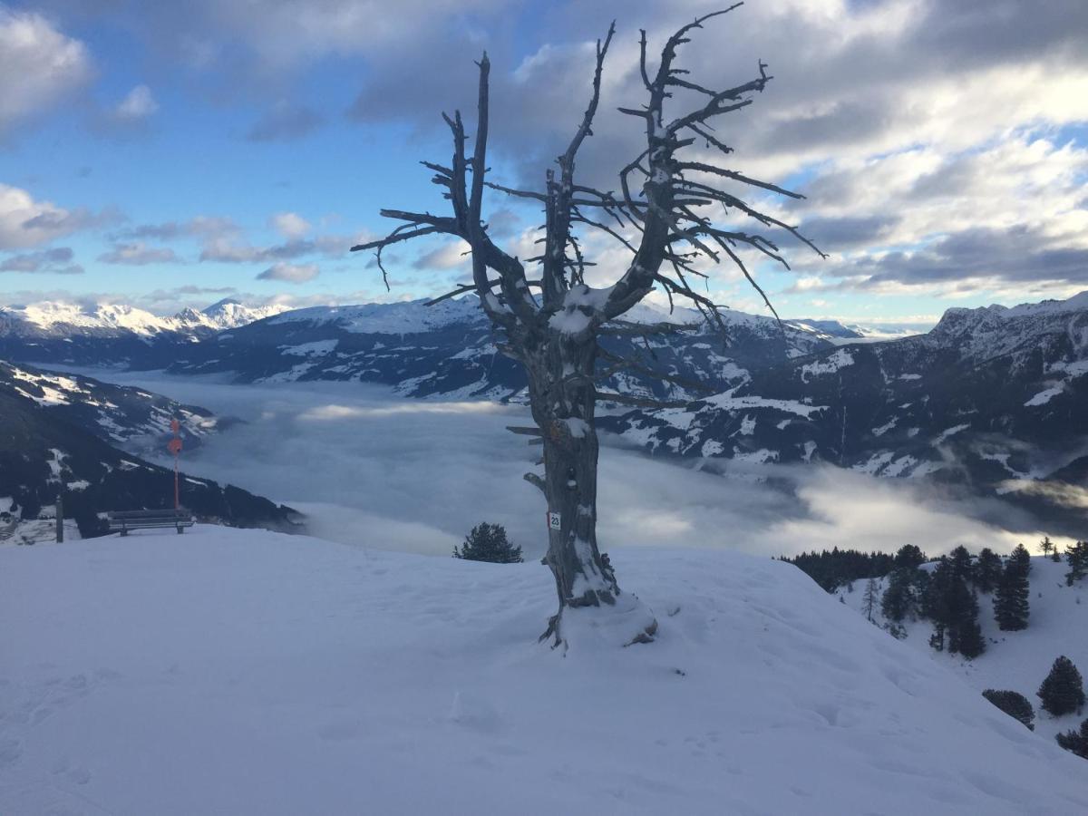 Landhaus Zillertal Рамзау-ім-Ціллерталь Екстер'єр фото